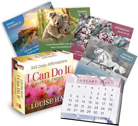 Penguin Random House 2025 I Can Do It Calendar Earrings