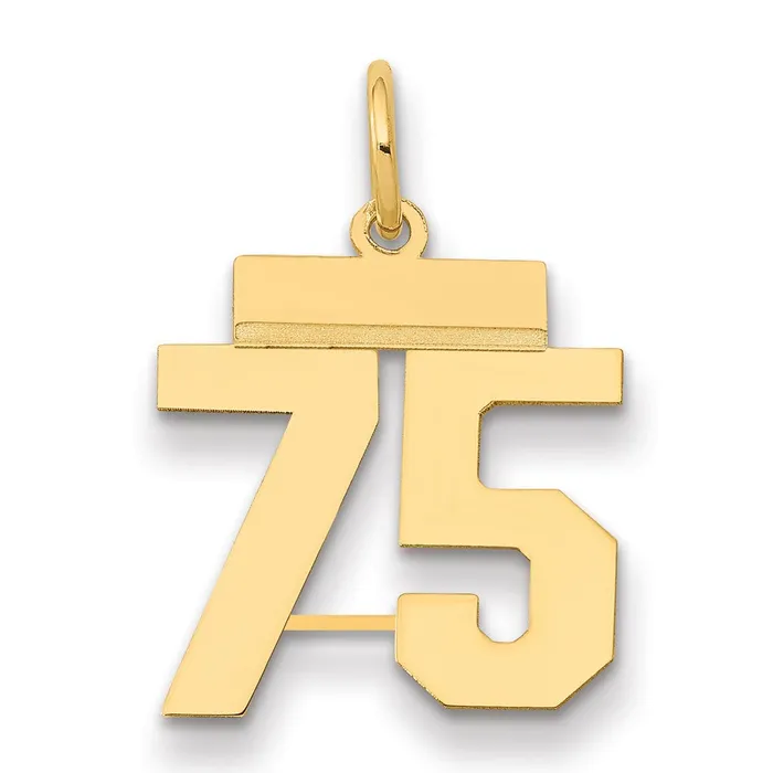 Charm Necklaces 14k Yellow Gold Small Polished Number 75 Charm Goldia